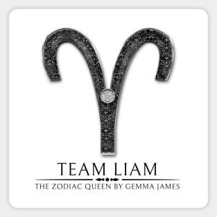 Team Liam Magnet